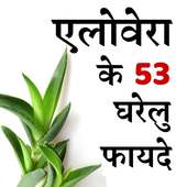 Aloe vera Benefits in Hindi