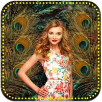 Peacock Feathers Photo Frames HD on 9Apps