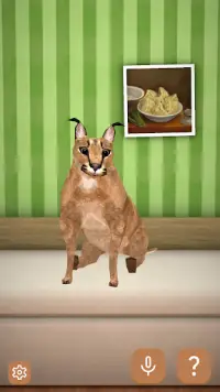 ARE YOU TELLING ME FLOPPA ISNT IN THE GAME!? (OR JUST A CARACAL CAT) :  r/animalroyale