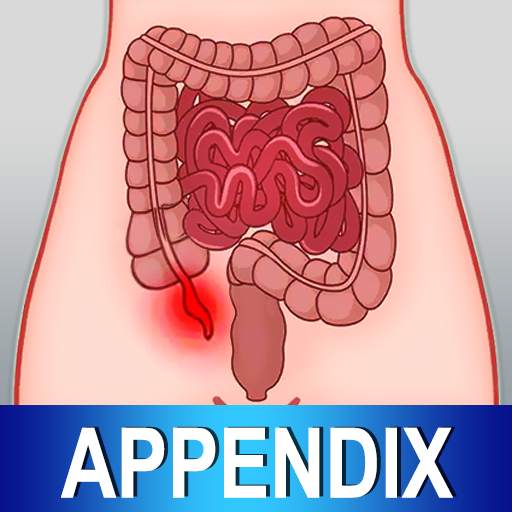 Appendix Diet Foods Help Tips