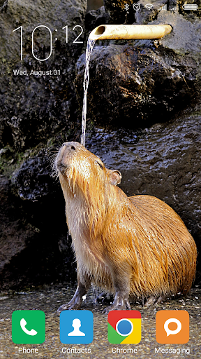 Page 12  Capybara Images  Free Download on Freepik