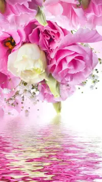 Pink Roses Live Wallpaper APK Download 2023 - Free - 9Apps