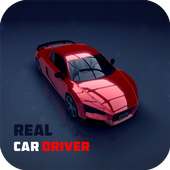 Real Car Driver 3D