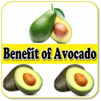 Uses Of Avocado