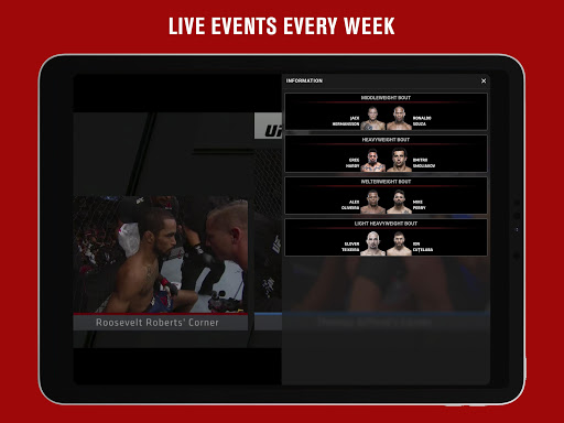 UFC screenshot 8