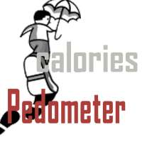 calorie pedometer