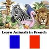 Learn Animals in French : Picture Quiz & Spelling