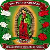 Virgen de Guadalupe Imagenes on 9Apps