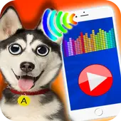 犬の翻訳者 フレーズブックアプリのダウンロード21 無料 9apps