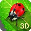Bugs Life 3D Free - 3D Live Wallpaper