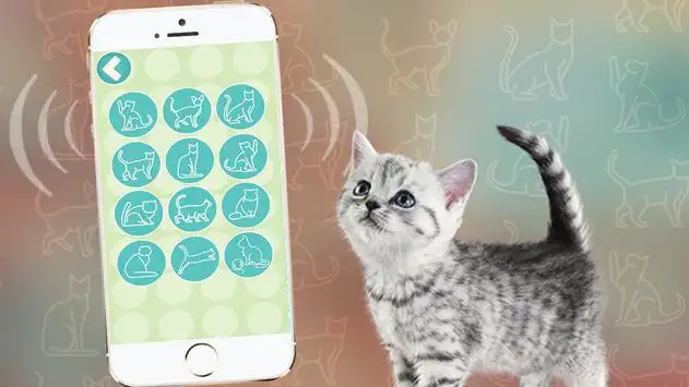 Переводчик На Кошачий Язык На Андроид App Скачать - 9Apps