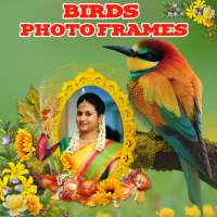 Birds Photo Frames