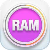 Ram Cleaner