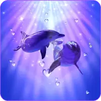 Descarga de la aplicación Fondos de pantalla de delfines 2023 - Gratis - 9Apps Descarga de la aplicación Fondos de pantalla de delfines 2023 - Gratis - 9Apps