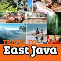 Travel to East Java on 9Apps