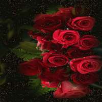 Red Roses Shine LWP on 9Apps