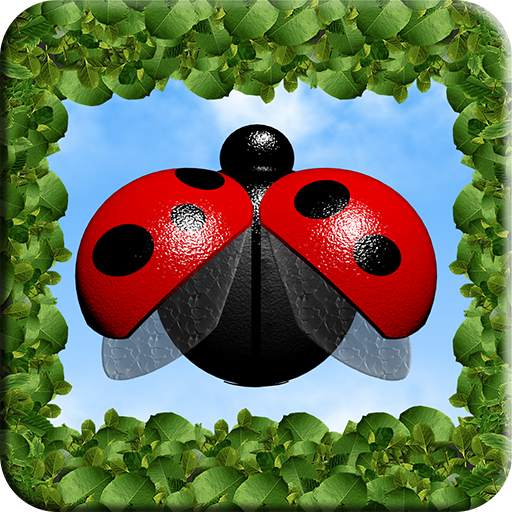 LadyBug Shooter X