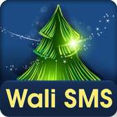 WaLi SMS-Christmas Fantasia on 9Apps