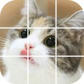 Puzzle Cute Cat