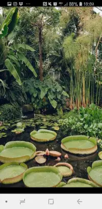 Descarga de la aplicación Amazonas Fondos de Pantalla, Wallpaper HD 2022 - Gratis - 9Apps Descarga de la aplicación Amazonas Fondos de Pantalla, Wallpaper HD 2022 - Gratis - 9Apps