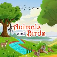 Animals, Birds and Insects Sound on 9Apps