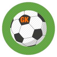 GoalKeeper - Brazil 2014