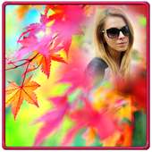 Autumn Photo Frames on 9Apps