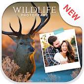 Wildlife Photo Frame : Animal Photo frame on 9Apps