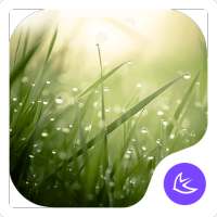 Lush-APUS Launcher