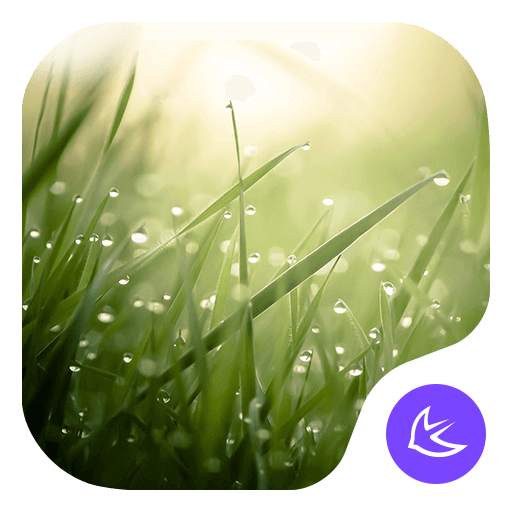 Lush-APUS Launcher theme