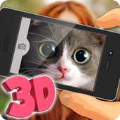 What is your cat? 3D