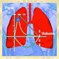 Pulmonary Function Test on 9Apps