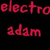 Electroadam
