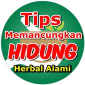 Cara Cepat Memancungkan Hidung