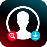 Big Profile Image: social network photo downloader