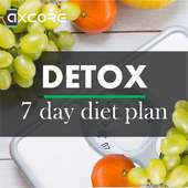Detox Diet Plan on 9Apps