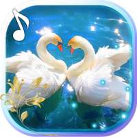 Swans Nobles LWP on 9Apps