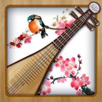 Pipa Extreme: Chinese Musical Instruments