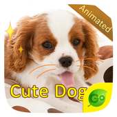 Cute Dogs on 9Apps