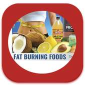 14 Days Fat Burn Diet Plan