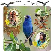 Bird Dual Photo Frames on 9Apps