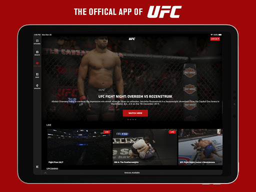 UFC screenshot 7
