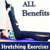 Stretching Exercise Full Body App for Men & Women on 9Apps