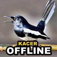 Masteran Kacer Gacor Full Isian Terlengkap Offline on 9Apps