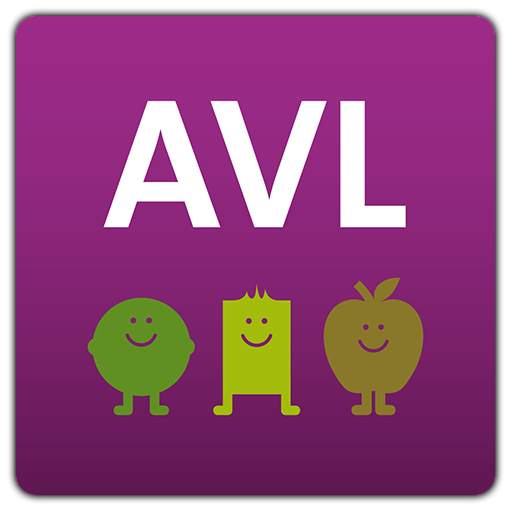 AVL Service 