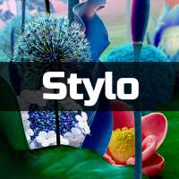 Stylo Theme Kit