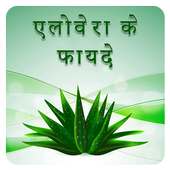 Aloe vera ke Faayde (एलोवेरा के फायदे)