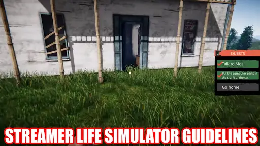 Streamer Life Simulator: Description and System Requirements