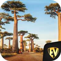 Senegal Travel & Explore, Offline Country Guide on 9Apps