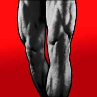 Legs Workout for Men - Quads, Thighs and Calves